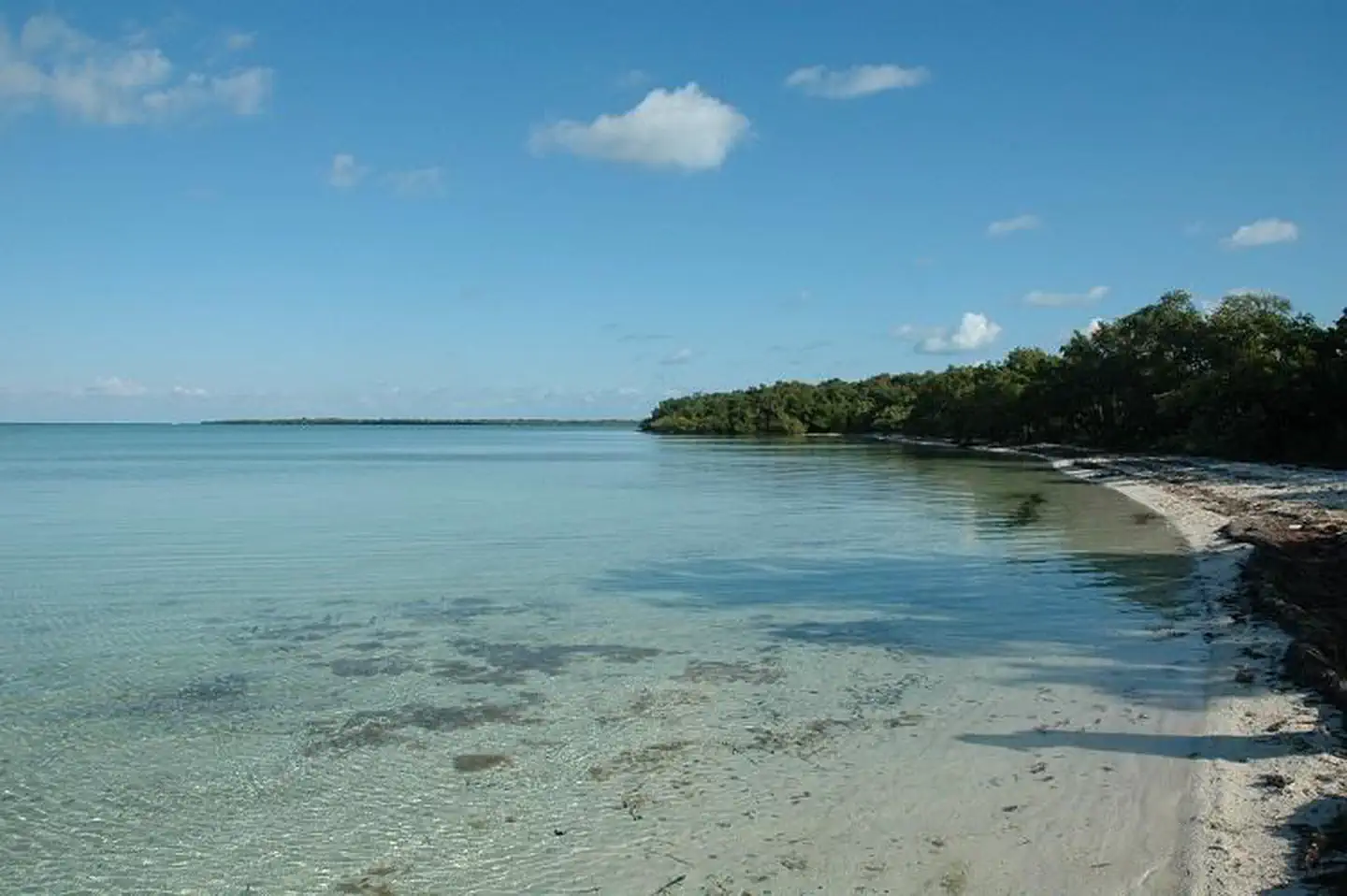Elliot Key Campground photo 2