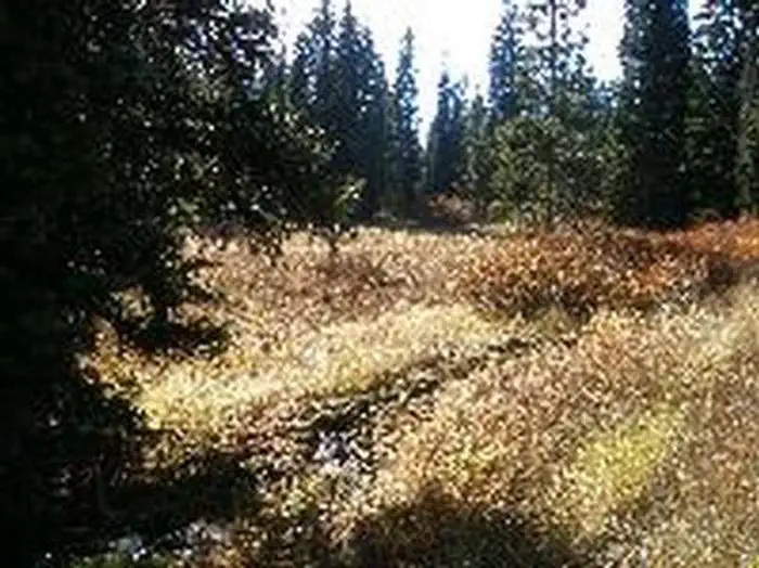 EMIGRATION CAMPGROUND photo
