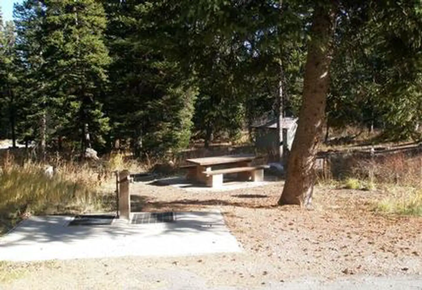 EMIGRATION CAMPGROUND photo 2