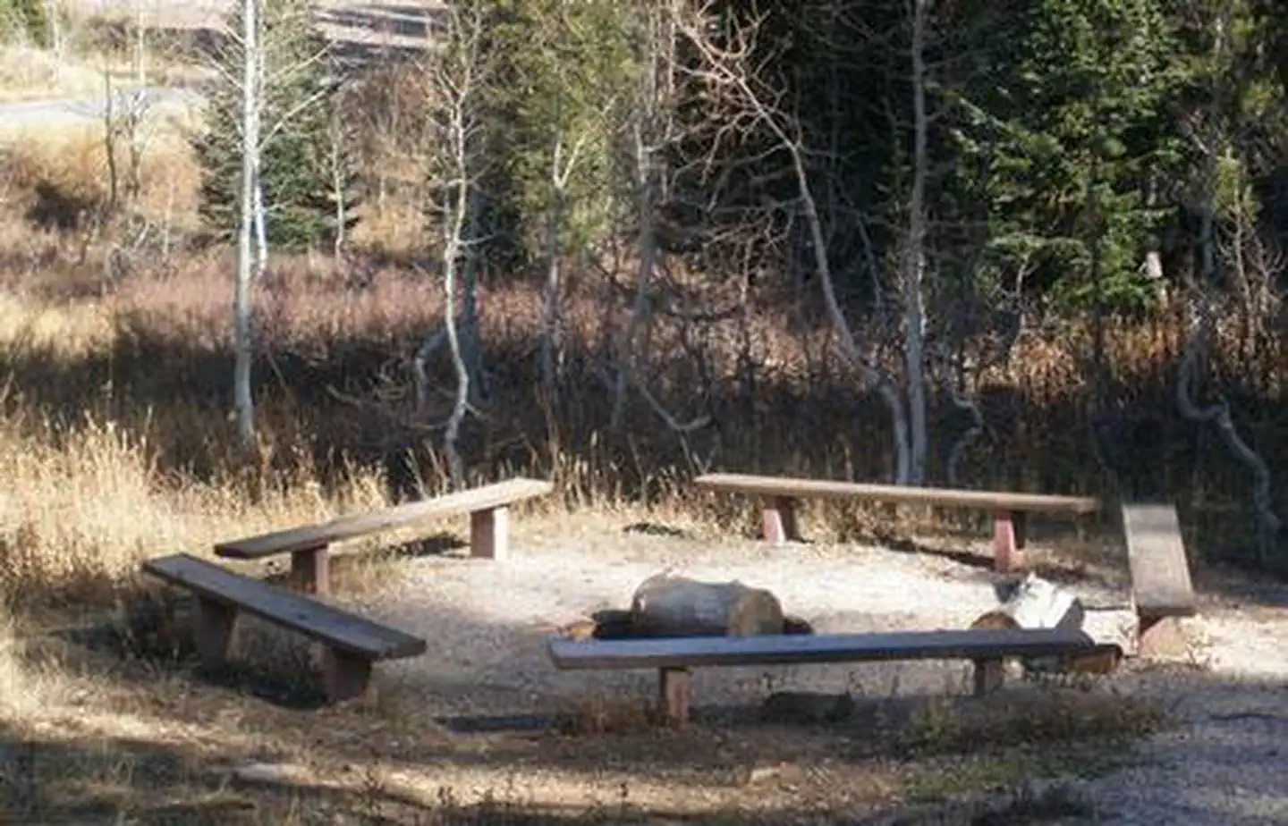 EMIGRATION CAMPGROUND photo 4
