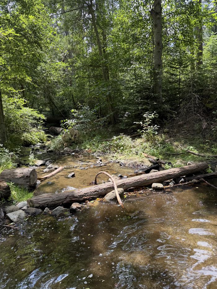 ESHOM CAMPGROUND photo