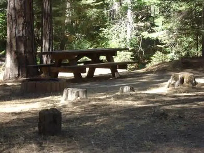 ESHOM CAMPGROUND photo 2
