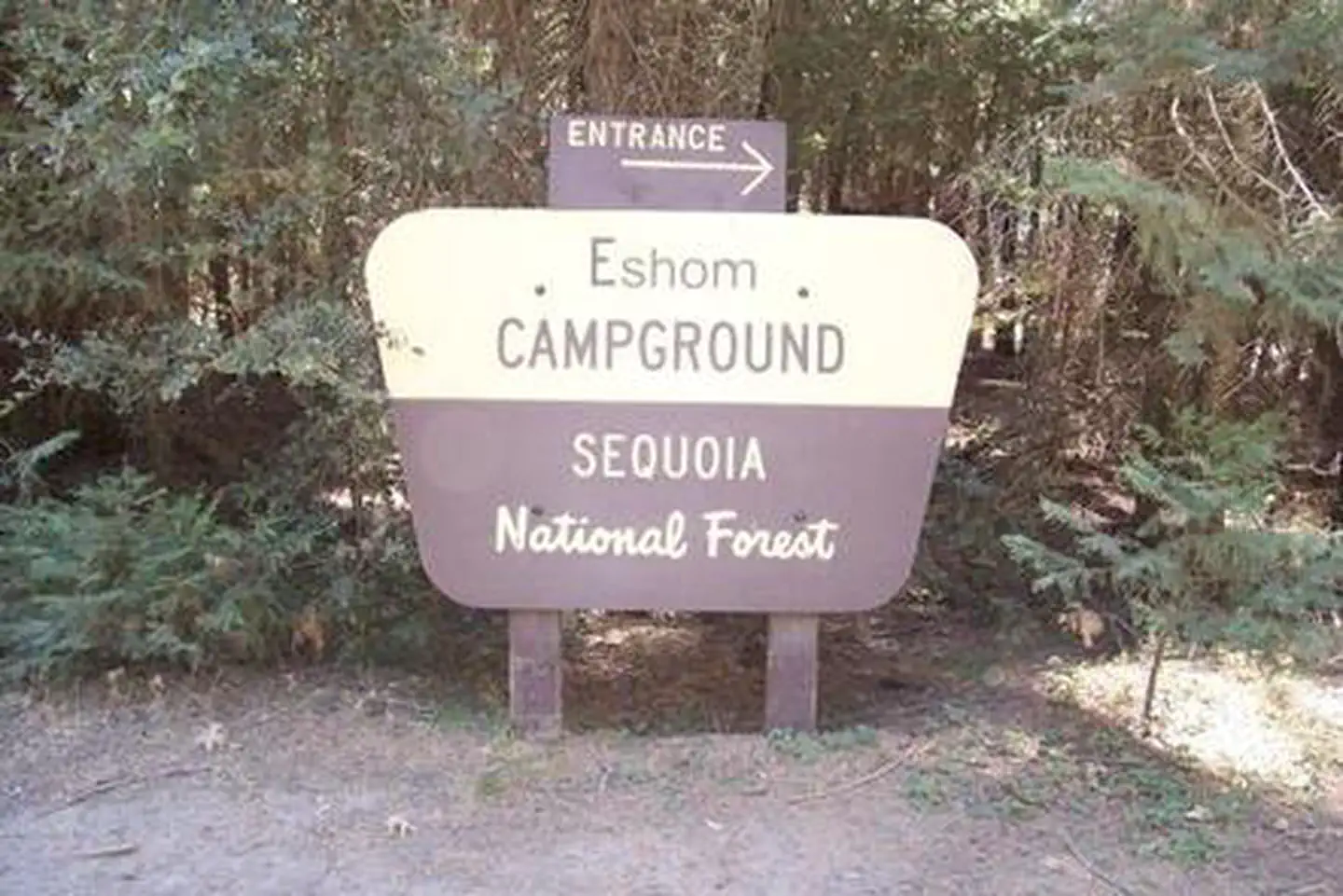ESHOM CAMPGROUND photo 3
