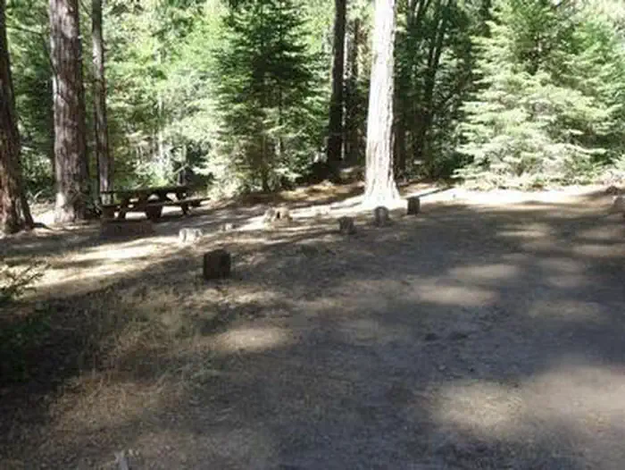 ESHOM CAMPGROUND photo 4
