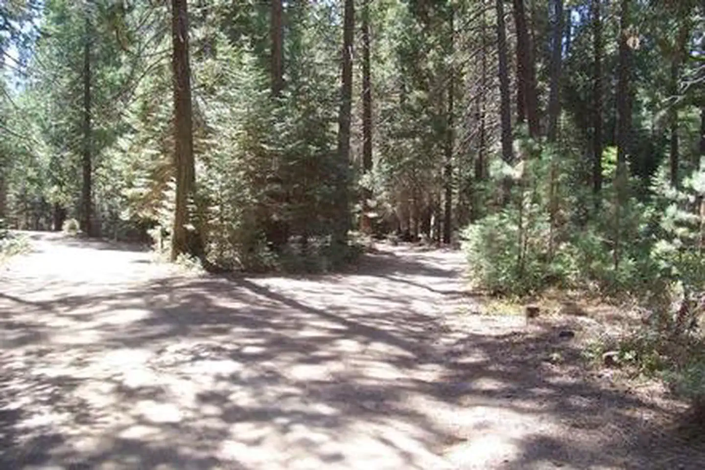 ESHOM CAMPGROUND photo 5