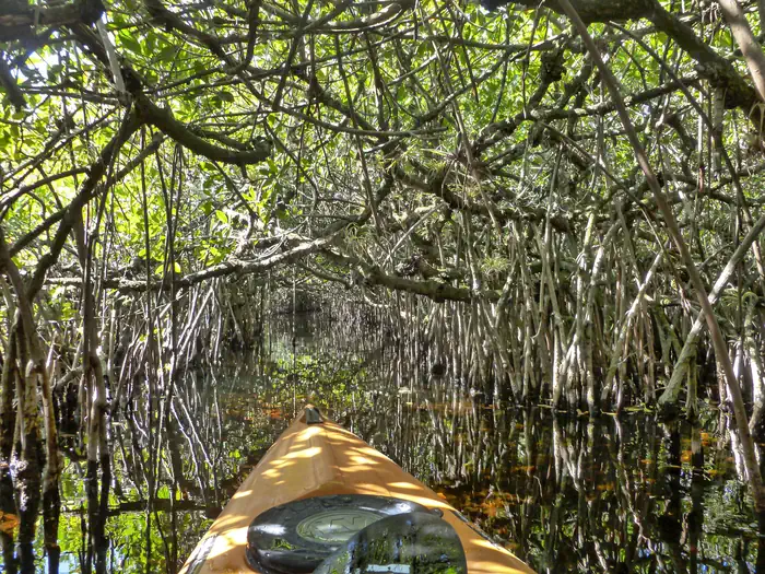 Everglades Backcountry Wilderness Camping Permits photo 4