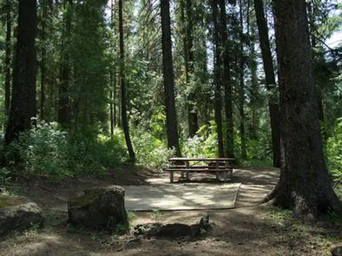 EVERGREEN CAMPGROUND photo 3