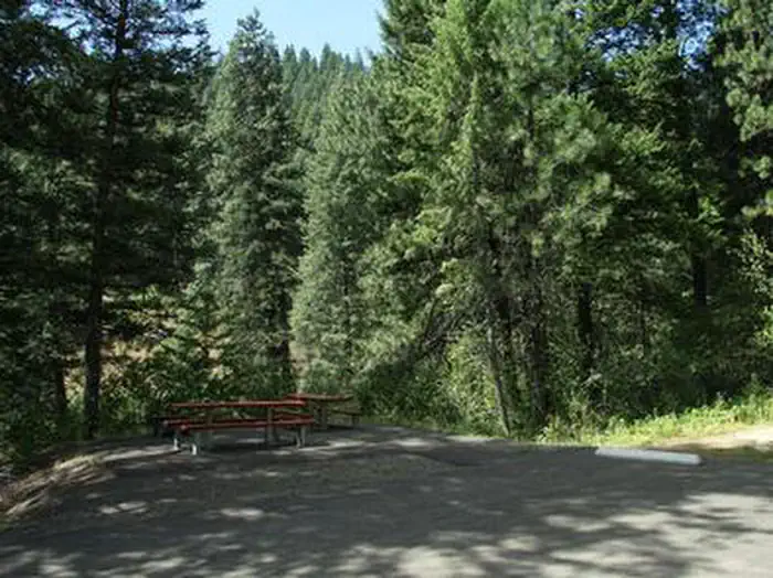 EVERGREEN CAMPGROUND photo 4