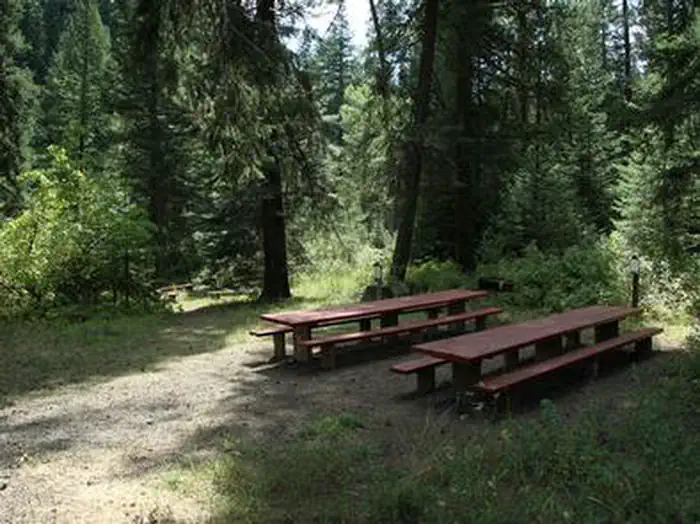 EVERGREEN CAMPGROUND photo 5