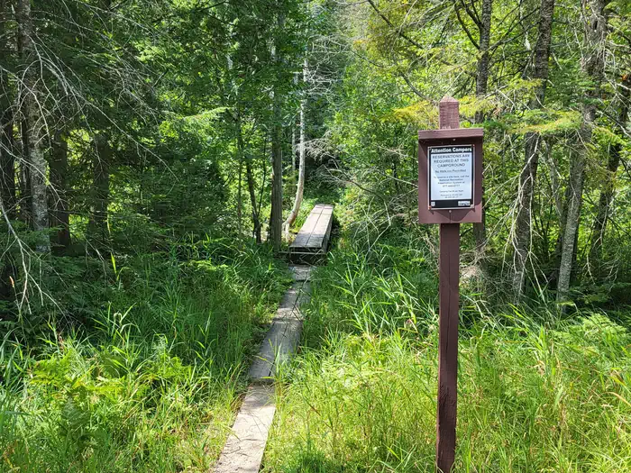 Ewing Point Campsite photo 3
