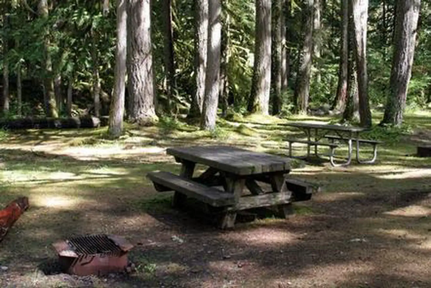 Excelsior Group Camp photo 2