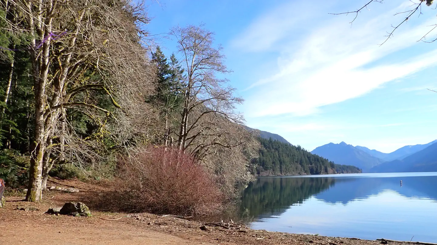 Fairholme Campground photo