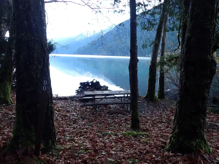 Fairholme Campground photo 3