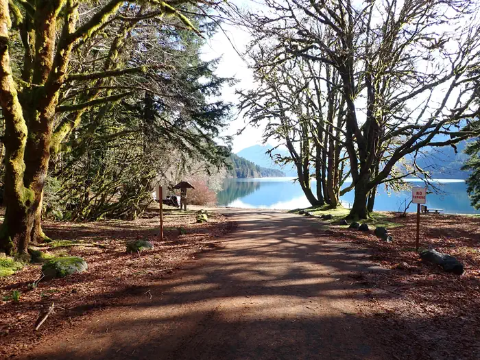 Fairholme Campground photo 5