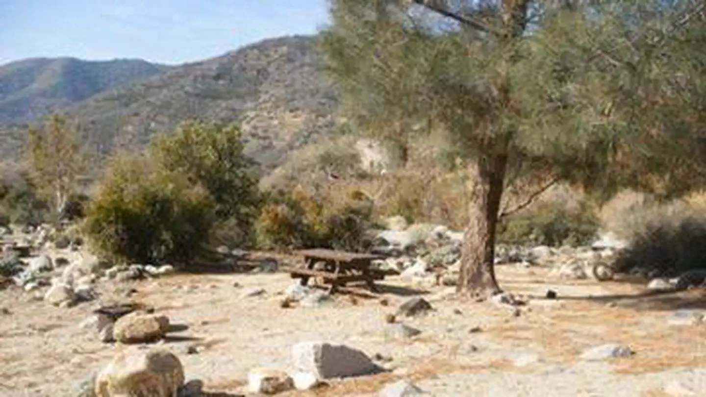 FAIRVIEW CAMPGROUND photo