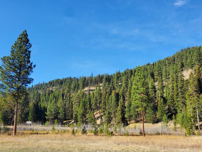 FALES FLAT CAMPGROUND photo 5