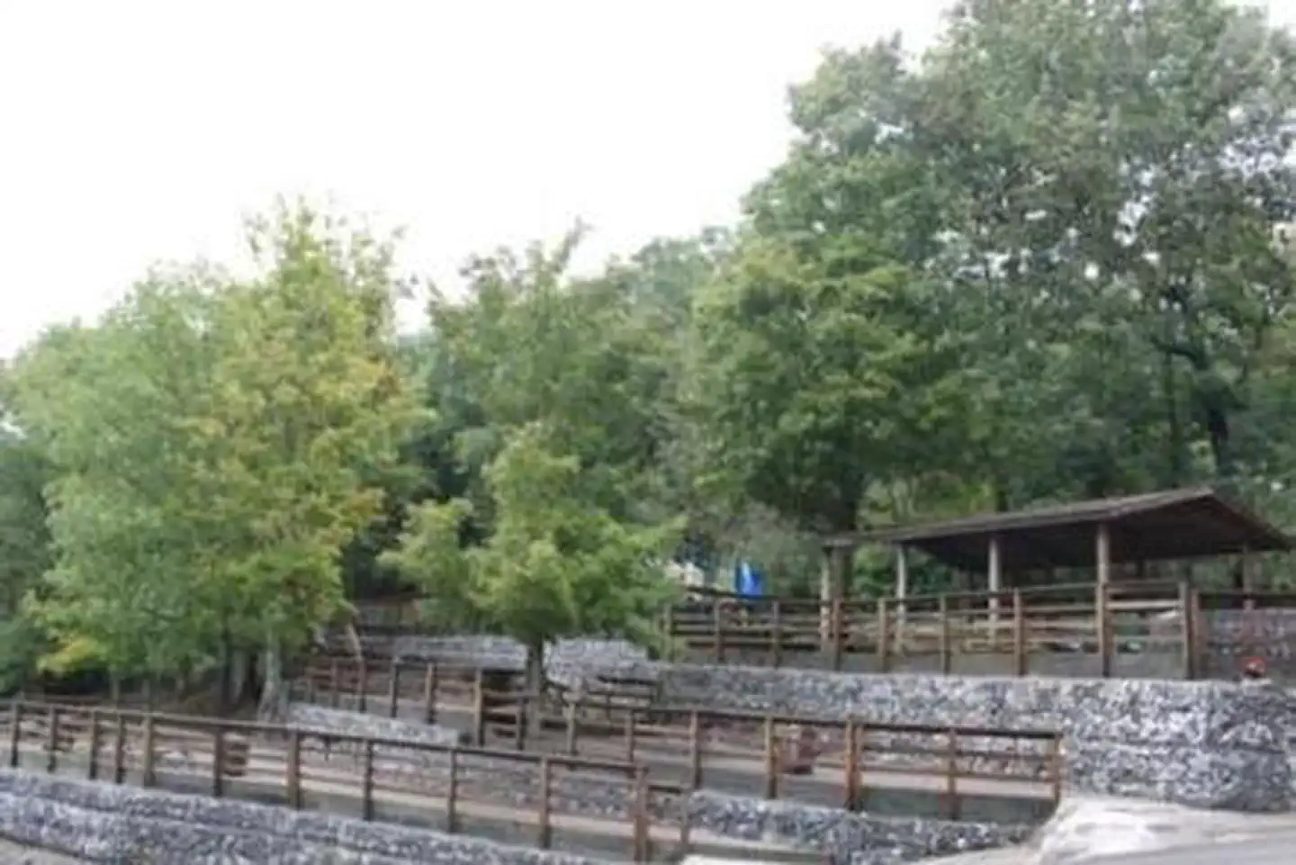FALL CREEK CAMPGROUND photo 3