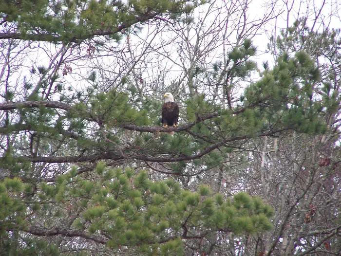 FALL CREEK CAMPGROUND photo 5