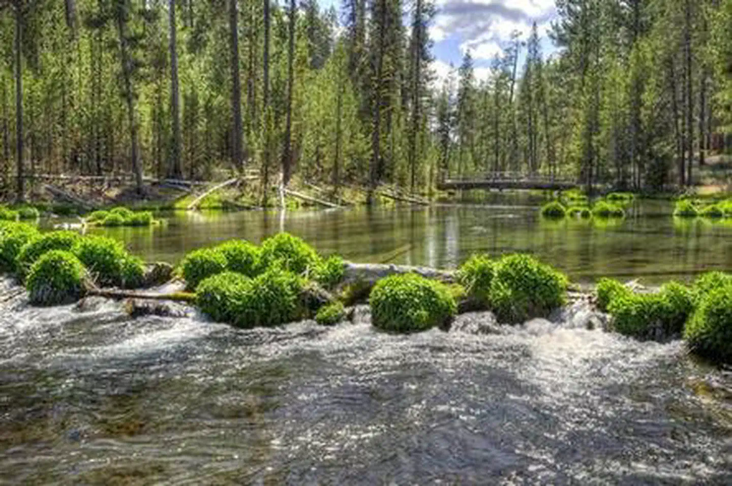 FALL RIVER CAMPGROUND photo