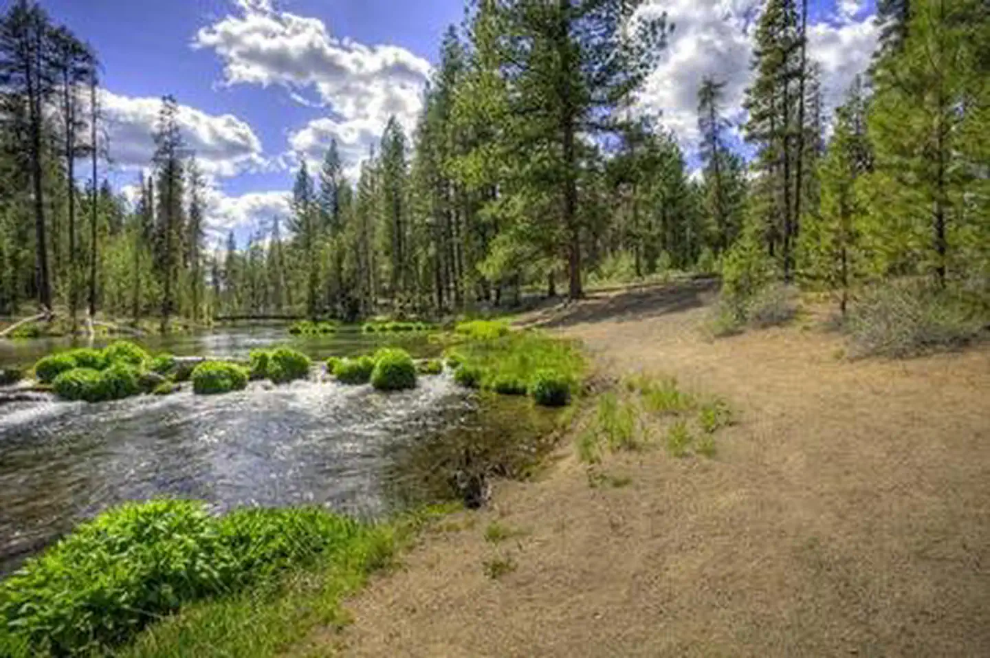 FALL RIVER CAMPGROUND photo 2