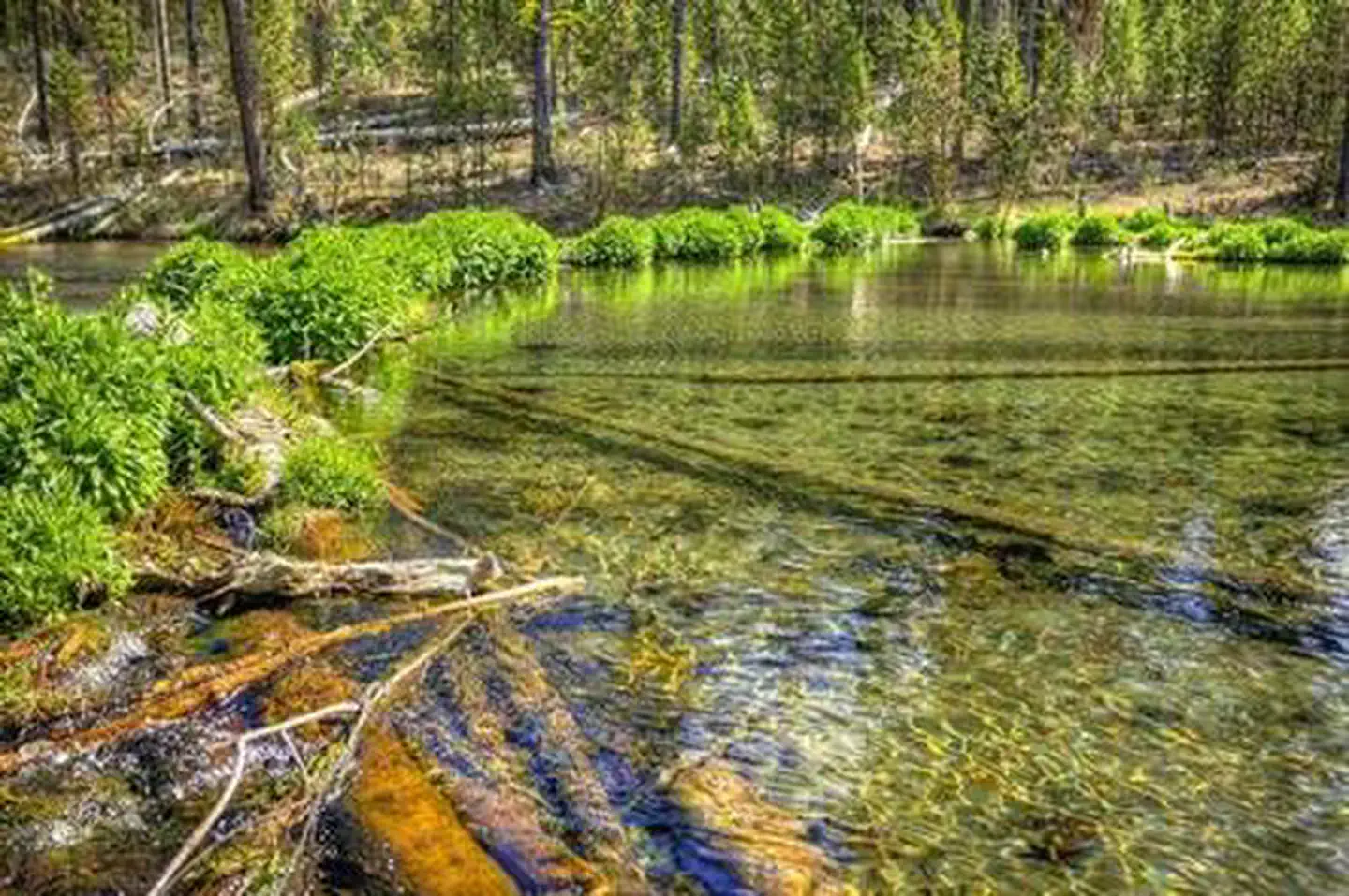 FALL RIVER CAMPGROUND photo 3
