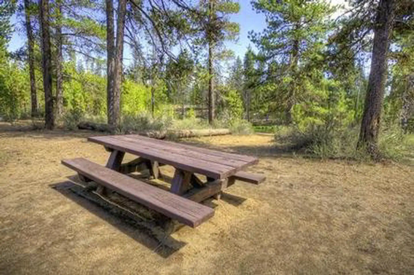 FALL RIVER CAMPGROUND photo 4