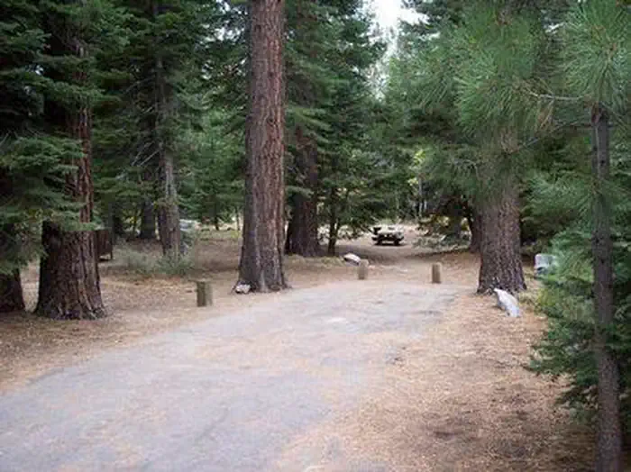 FALLEN LEAF CAMPGROUND photo 2