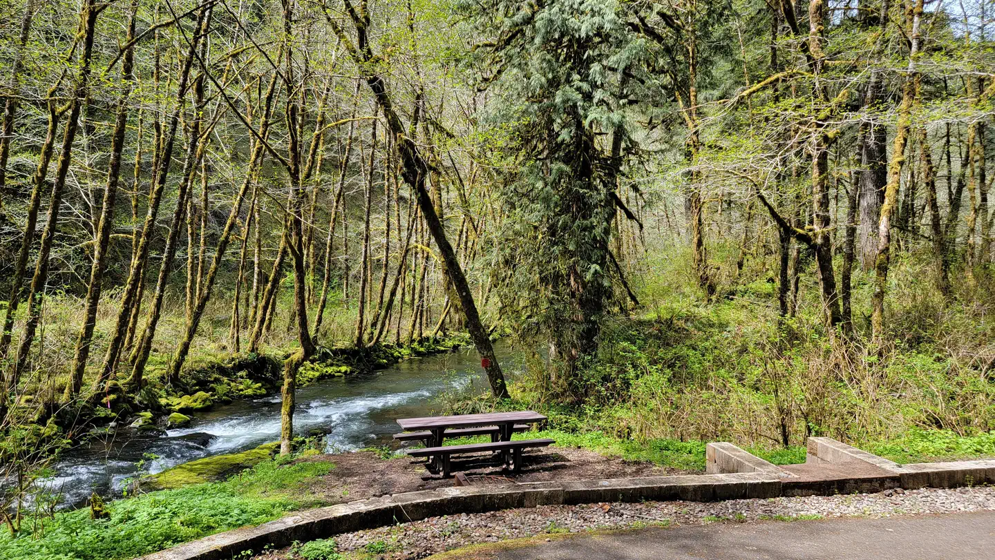 Fan Creek Recreation Site photo 3