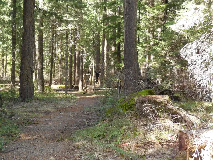 FAREWELL BEND CAMPGROUND photo 2
