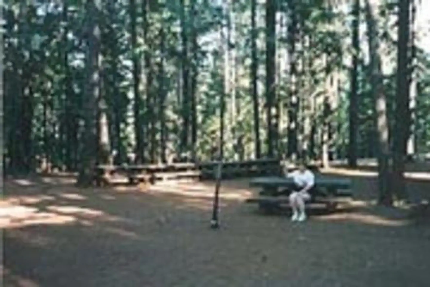 FAWN photo 4