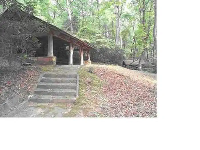 FERN SPRINGS DAY USE PICNIC AREA photo