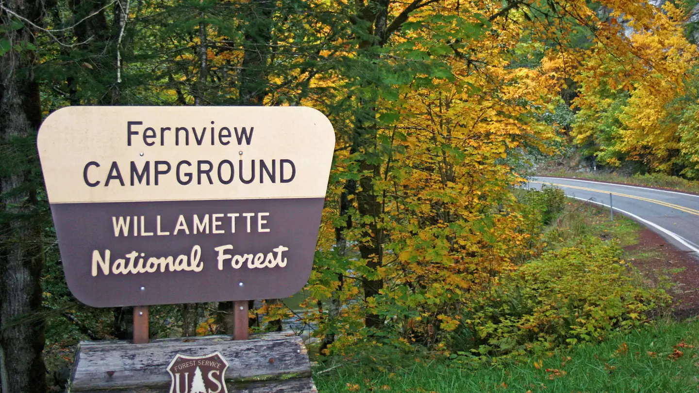FERNVIEW GROUP SITE photo
