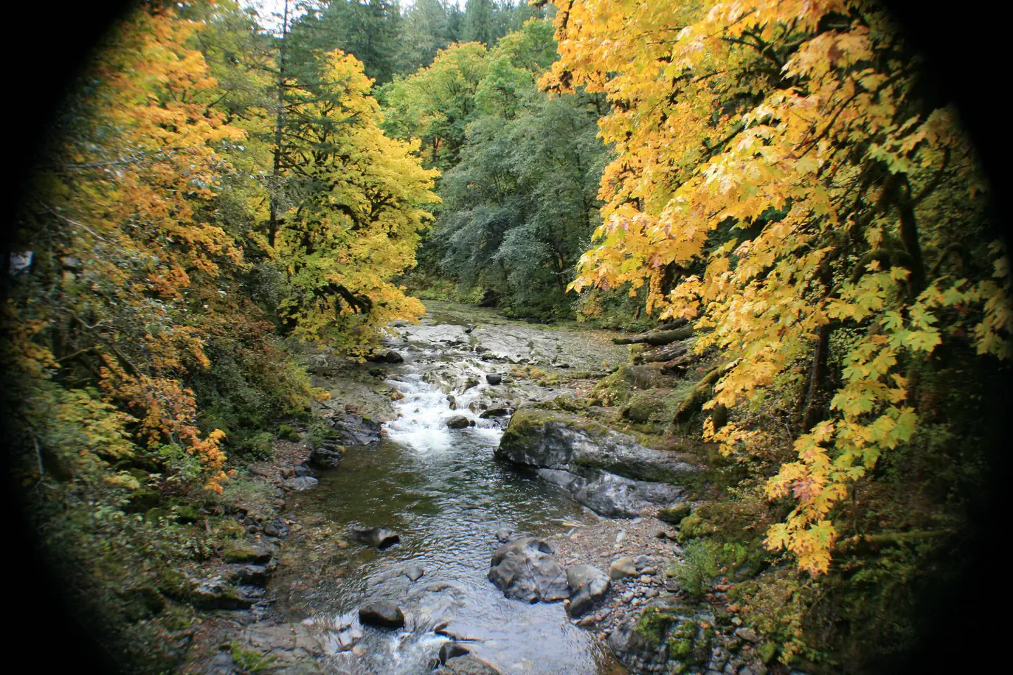 FERNVIEW GROUP SITE photo 3