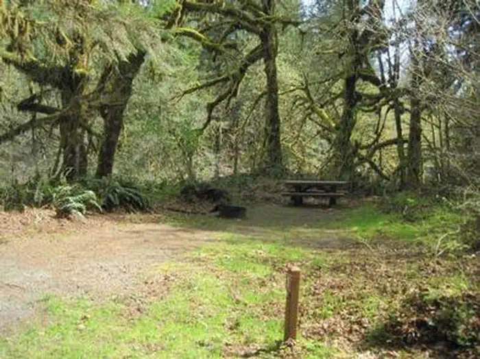 FERNVIEW GROUP SITE photo 5