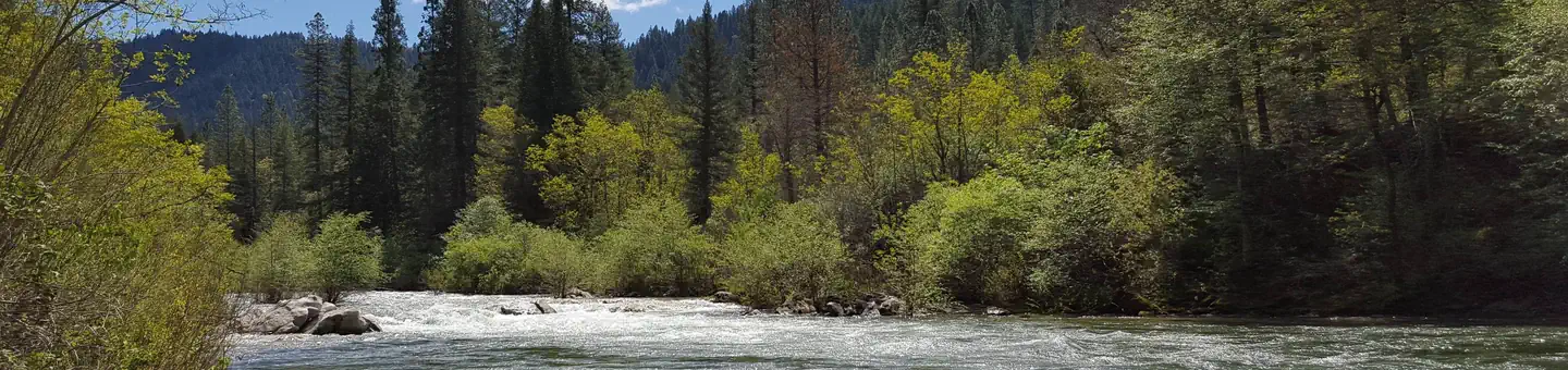 FIDDLE CREEK photo