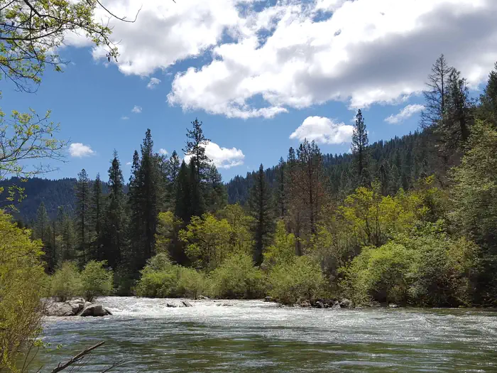 FIDDLE CREEK photo 2