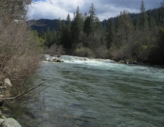 FIDDLE CREEK photo 3