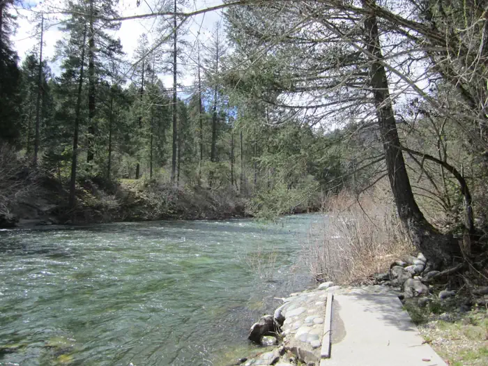 FIDDLE CREEK photo 4