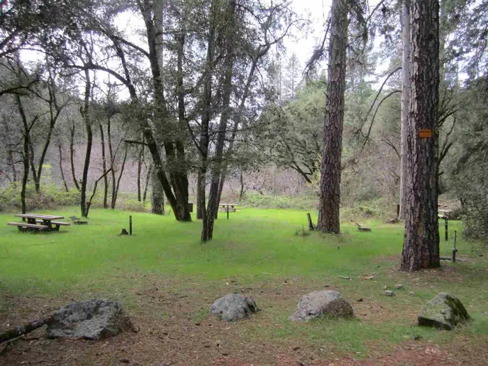 FIDDLE CREEK photo 5