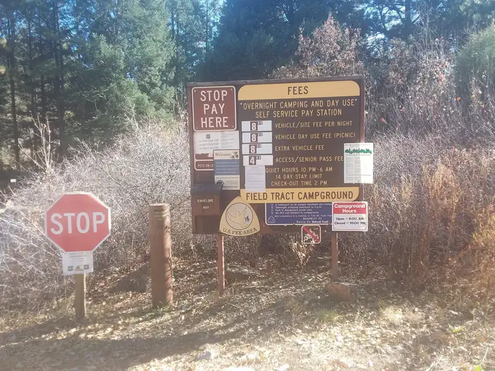 FIELD TRACT CAMPGROUND photo 2