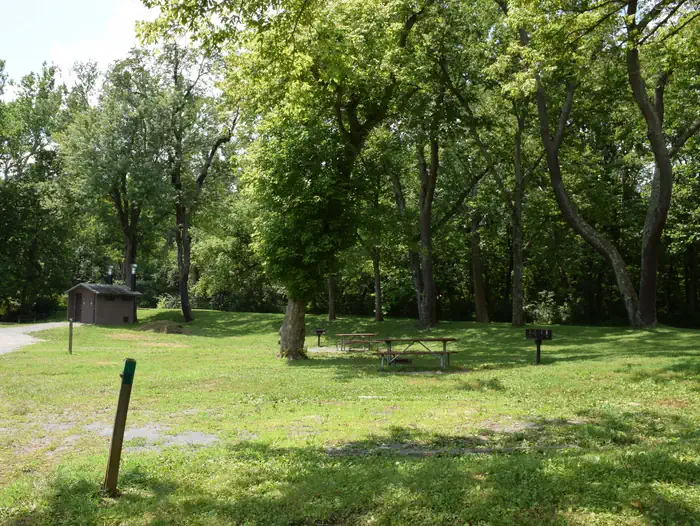Fifteen Mile Creek Campsite photo 3
