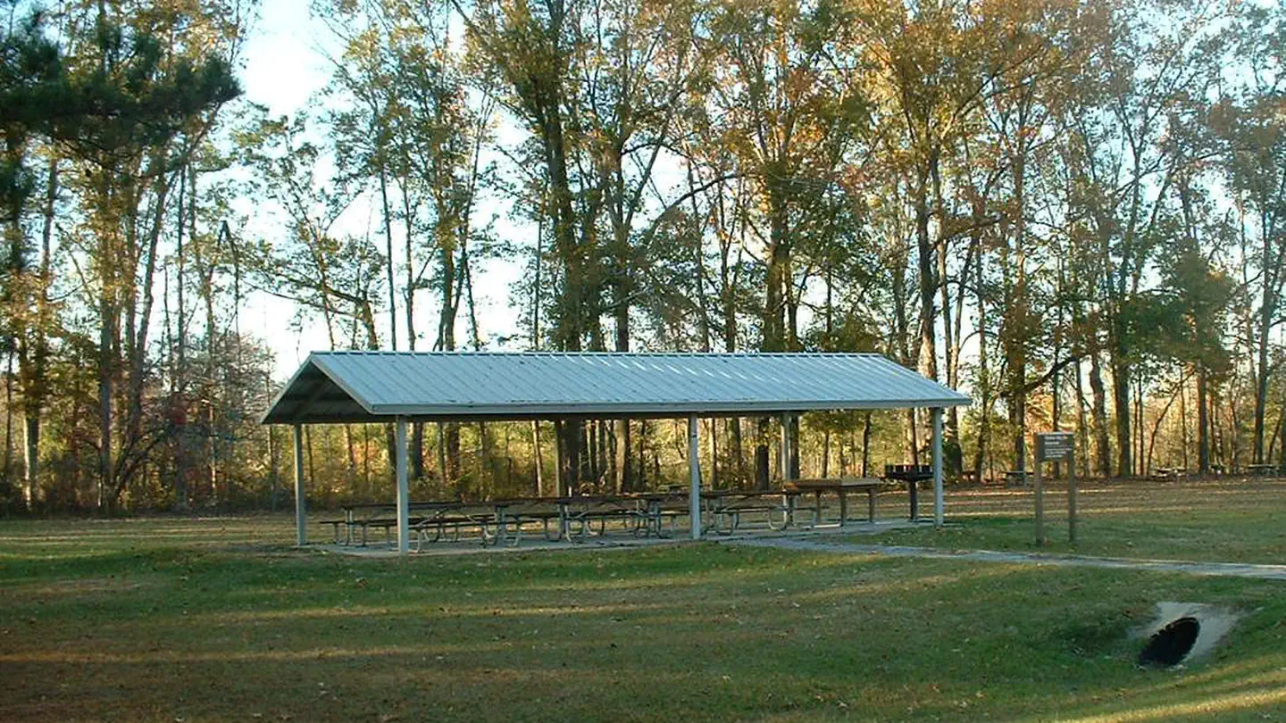Finches Ferry photo