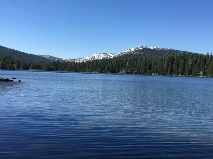 FIR TOP CAMPGROUND photo 2