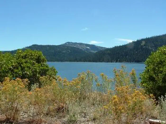 FIR TOP CAMPGROUND photo 3