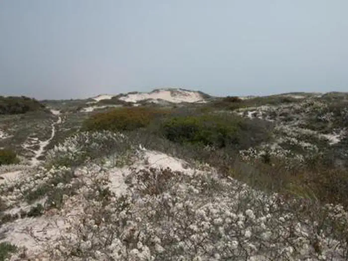 Fire Island National Seashore Permits photo 2