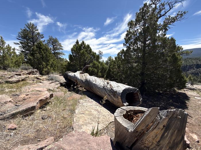 FIREFIGHTERS CAMPGROUND photo