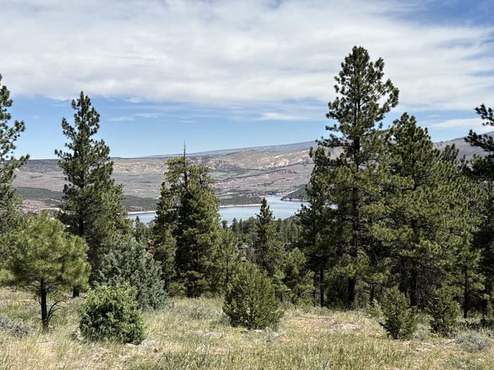 FIREFIGHTERS CAMPGROUND photo 3