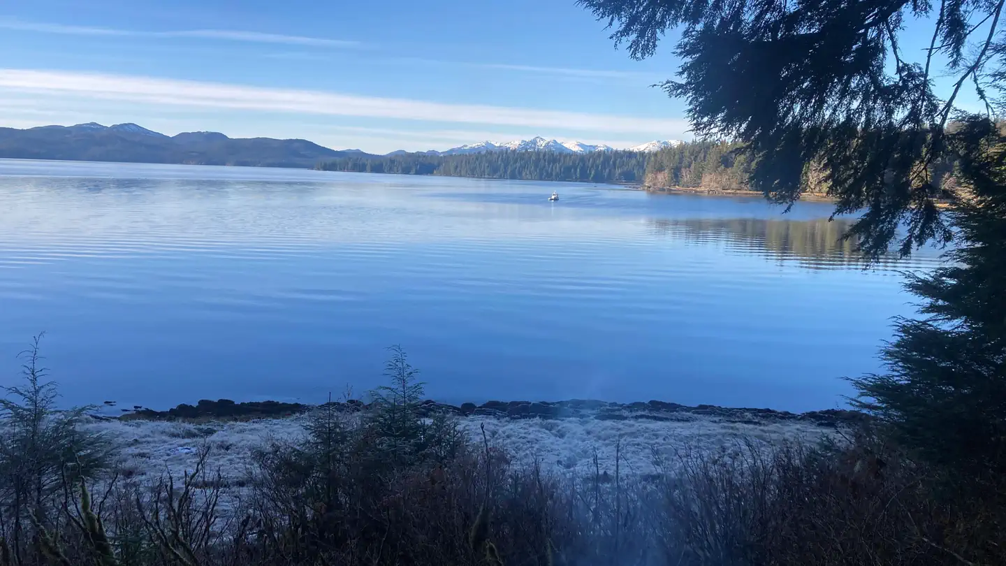 FISH CREEK CABIN photo