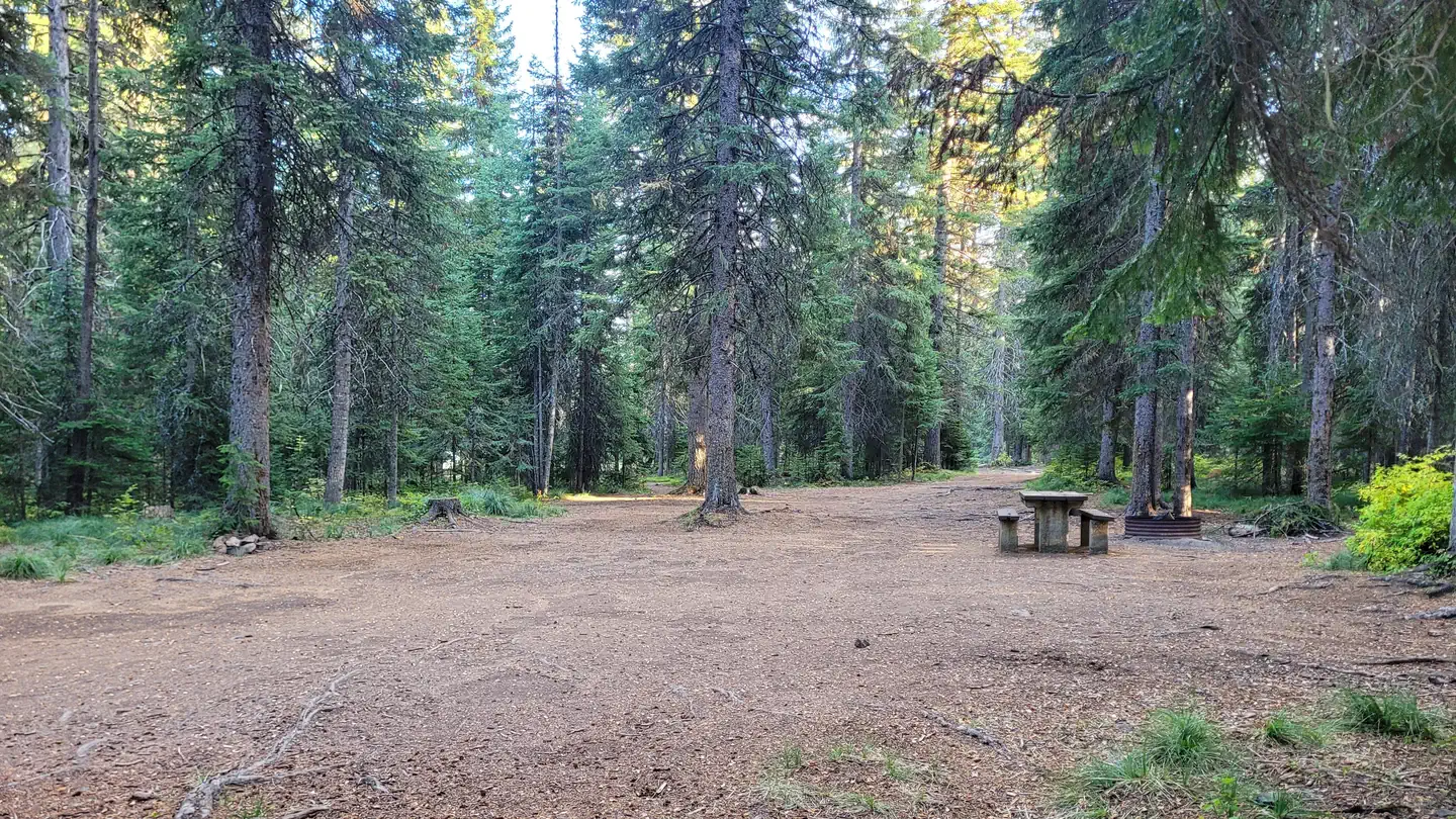 FISH CREEK GROUP USE photo
