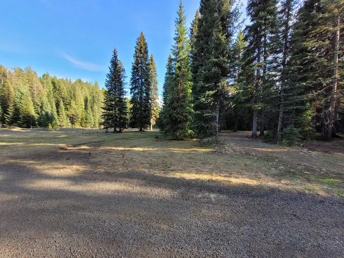 FISH CREEK GROUP USE photo 2